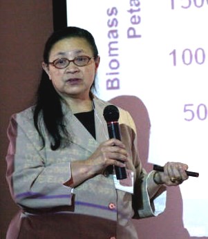 Dr. Chum pointing to a slide during her talk